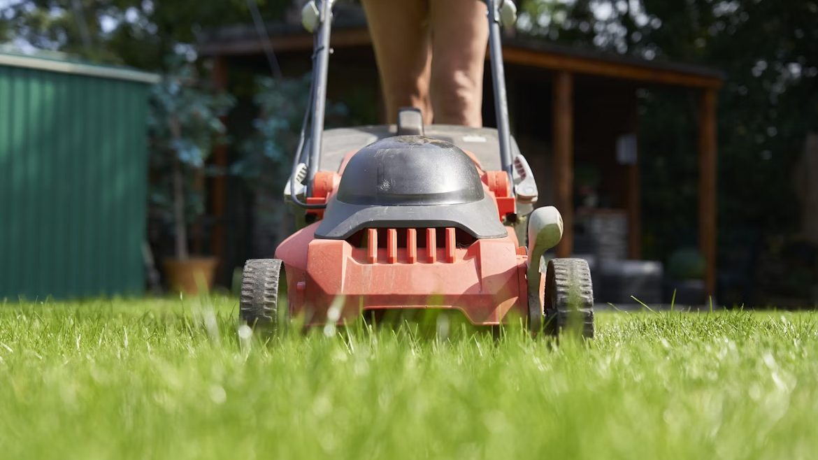 Eco‑Friendly Landscaping in Knoxville: Water‑Wise Yard Upgrades with Artificial Grass